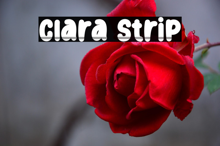 Clara Strip Example 1