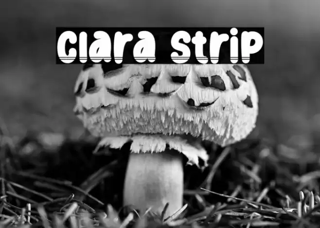 Clara Strip Font examples