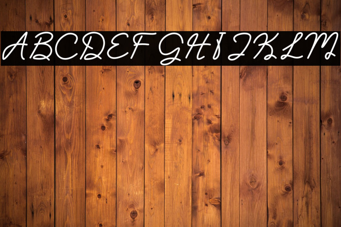 Clara Sydney_DEMO_Personal Use Example 2