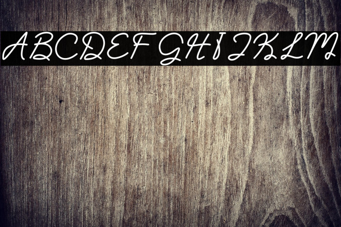 Clara Sydney_DEMO_Personal Use Example 3