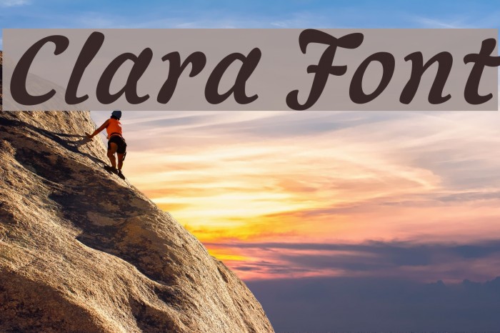 Clara Font examples