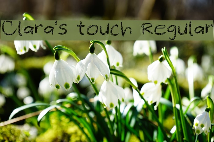 Clara's touch Regular Font examples