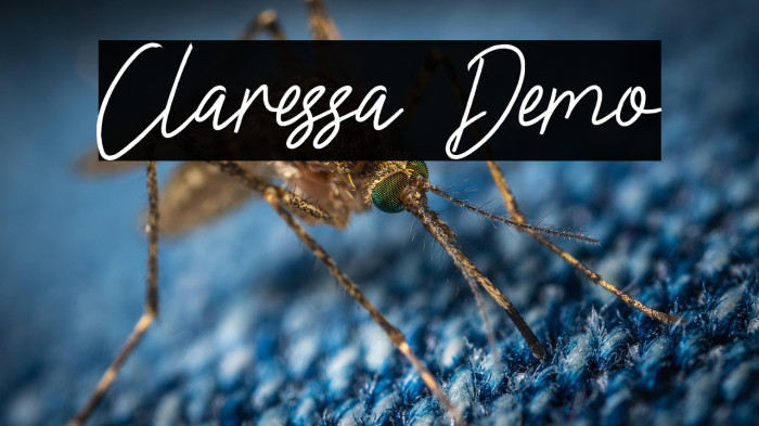 Claressa Demo Example 2