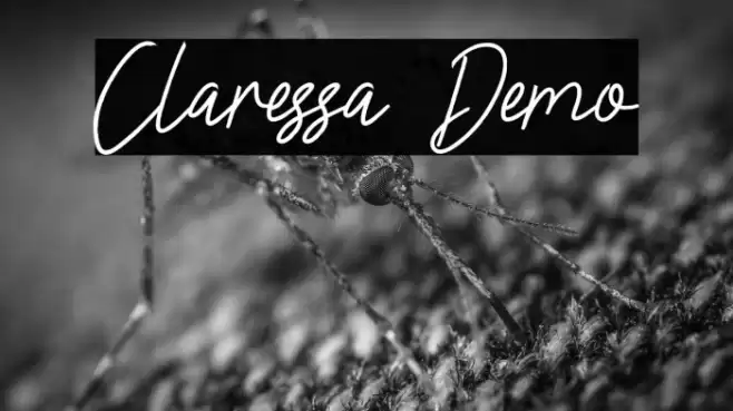 Claressa Demo Font examples