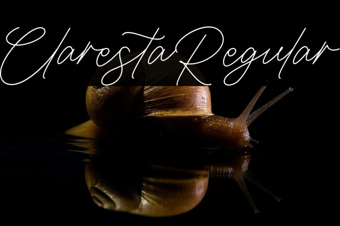 ClarestaRegular Example 1