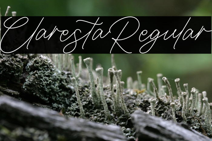 ClarestaRegular Example 3