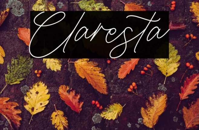 Claresta Example 2