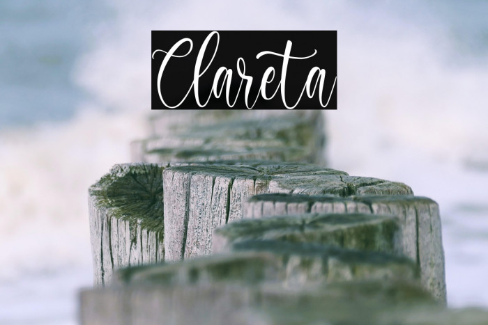 Clareta Example 1