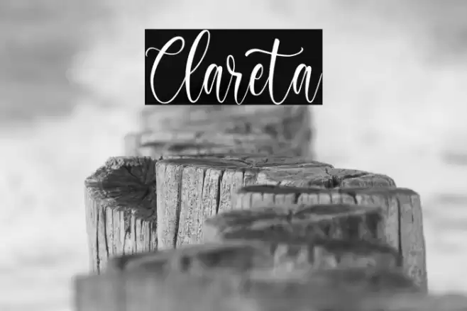 Clareta Font examples