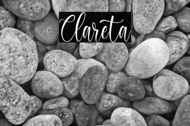 Clareta Font examples