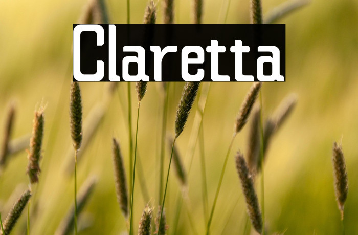 Claretta Example 3