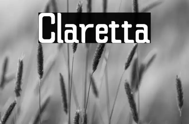 Claretta Font examples
