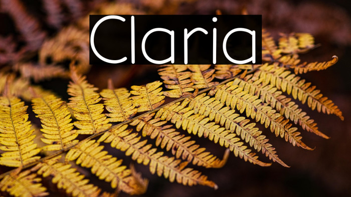 Claria Example 3