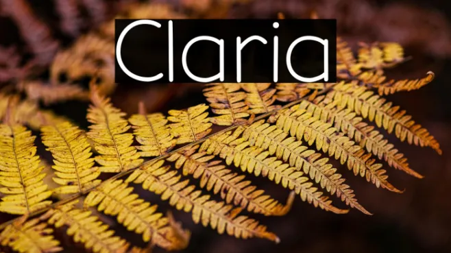 Claria Example 3