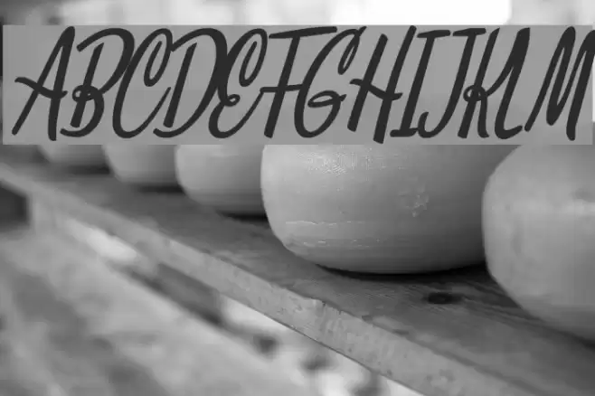 Clarice Italic Personal Use Fuentes examples