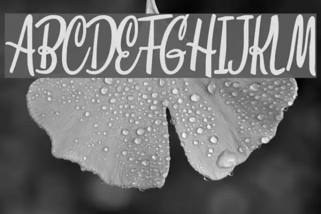 Clarice Personal Use Font examples