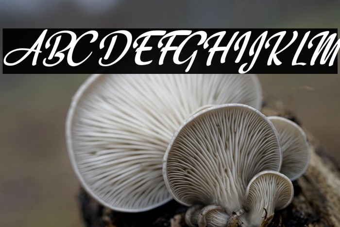 Clarification Personal Use  Example 1