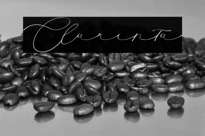 Clarinta Font examples