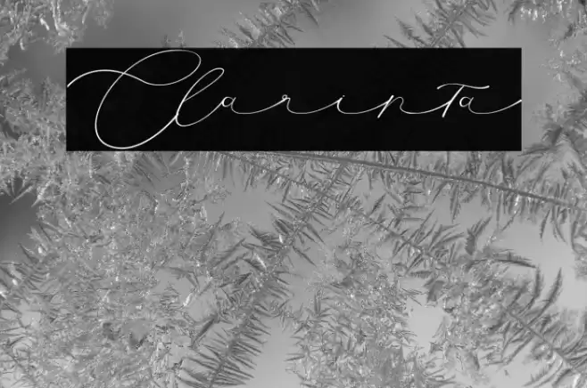 Clarinta Font examples
