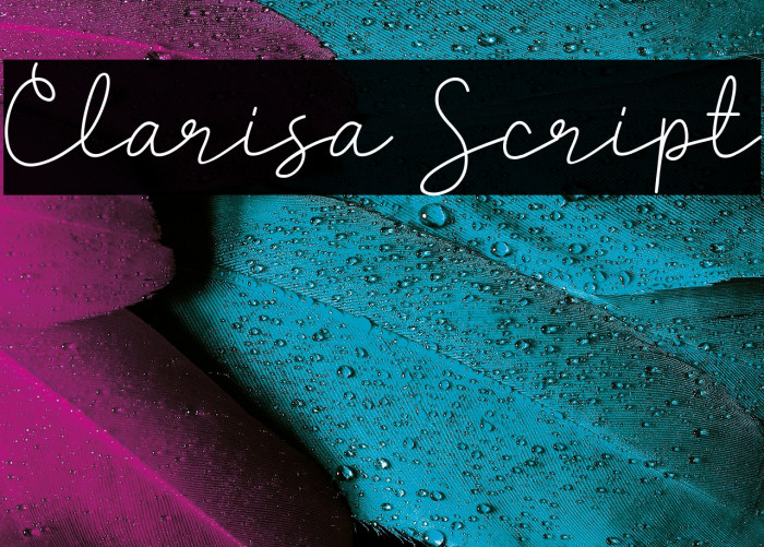 Clarisa Script Example 1