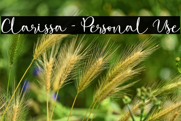 Clarissa - Personal Use Example 3