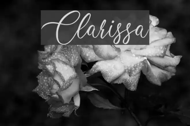 Clarissa Font examples