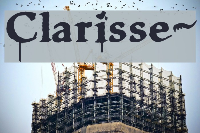 Clarisse~ Font examples