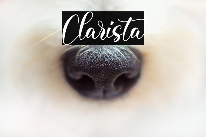 Clarista Example 2