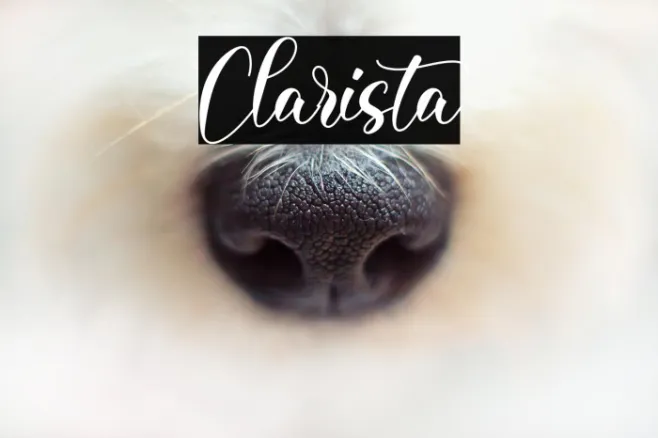 Clarista Example 2