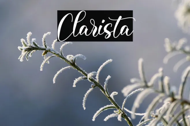 Clarista Example 3