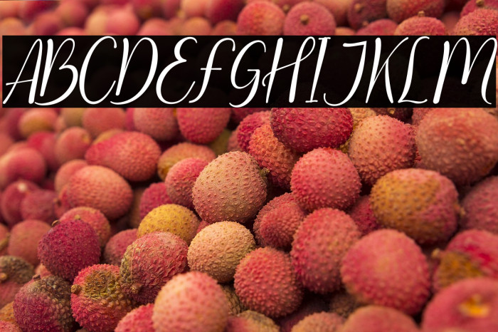 Clarities Italic Example 2