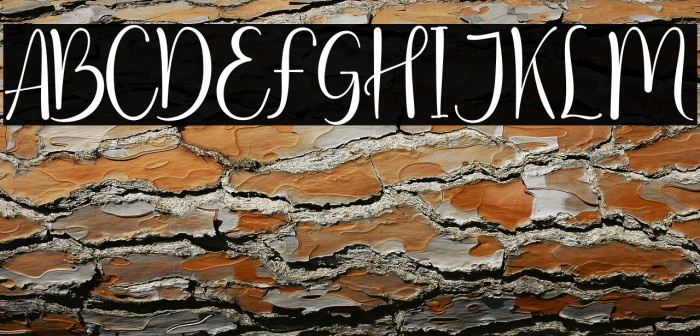 Clarities Regular Example 1