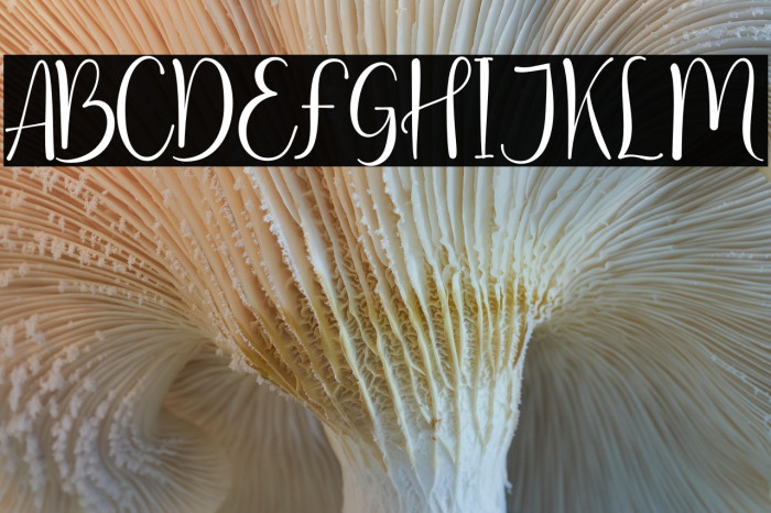 Clarities Regular Example 2