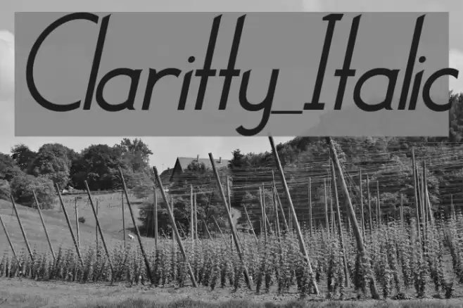 Claritty_Italic Font examples