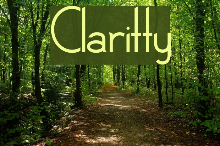 Claritty Font examples