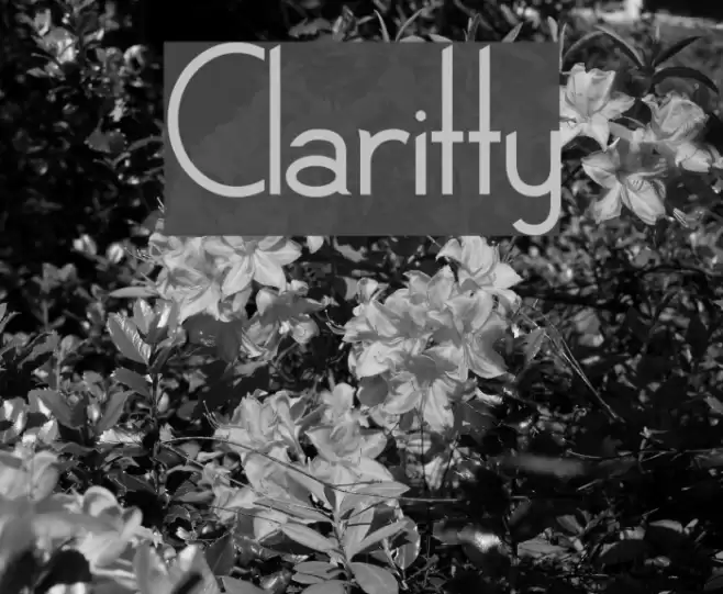 Claritty Font examples