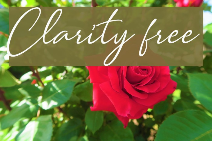 Clarity free Font examples