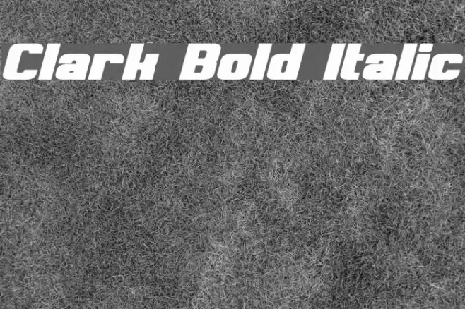 Clark Bold Italic Font examples