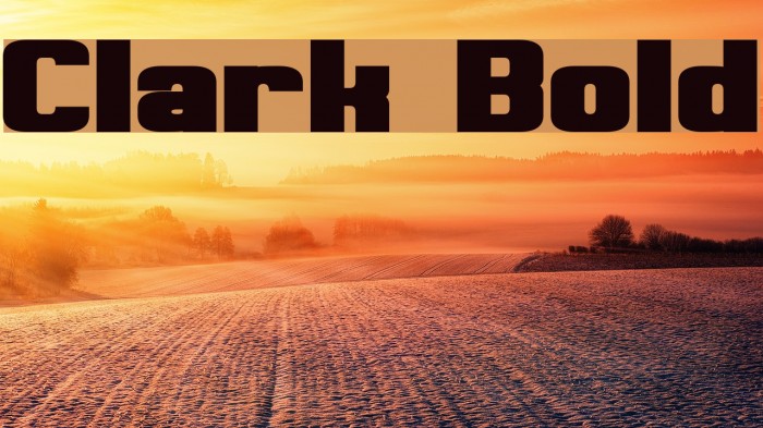 Clark Bold Font examples