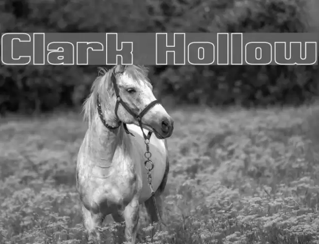 Clark Hollow Font examples