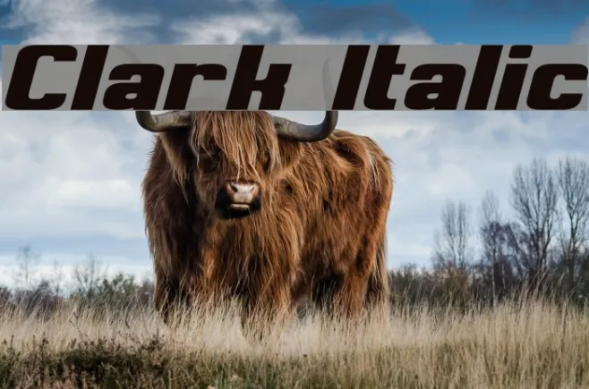 Clark Italic Example 1