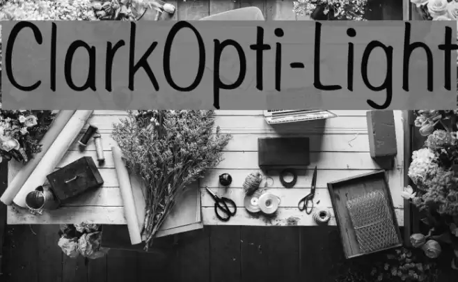 ClarkOpti-Light Font examples