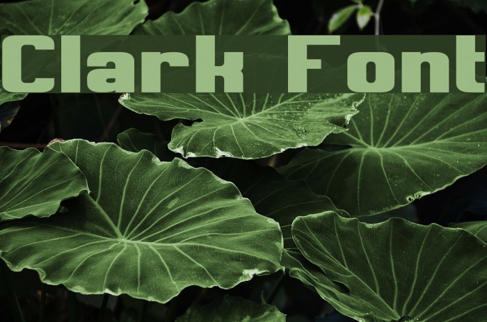 Clark Font examples