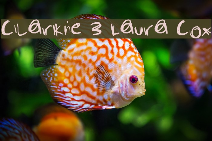 Clarkie 3 Laura Cox Font examples