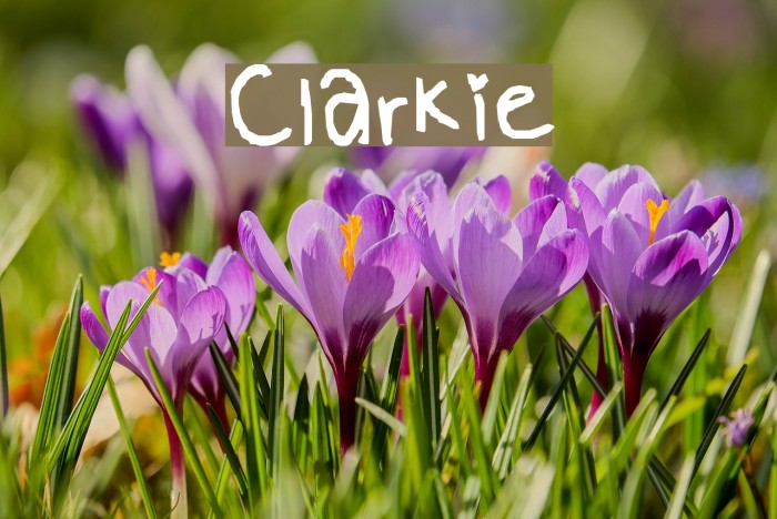 Clarkie Font examples