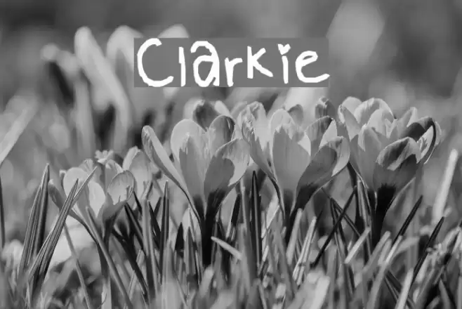 Clarkie Font examples