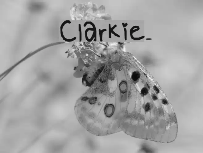 Clarkie Font examples