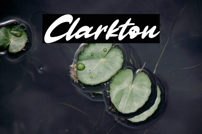 Clarkton Example 3