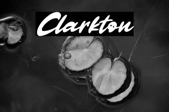 Clarkton Font examples