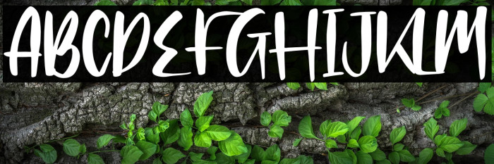 Clarlisse Dawson Example 2